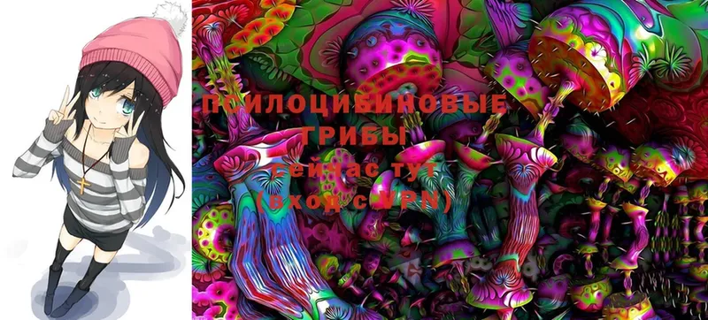 Галлюциногенные грибы Psilocybe  MEGA онион  Гагарин 